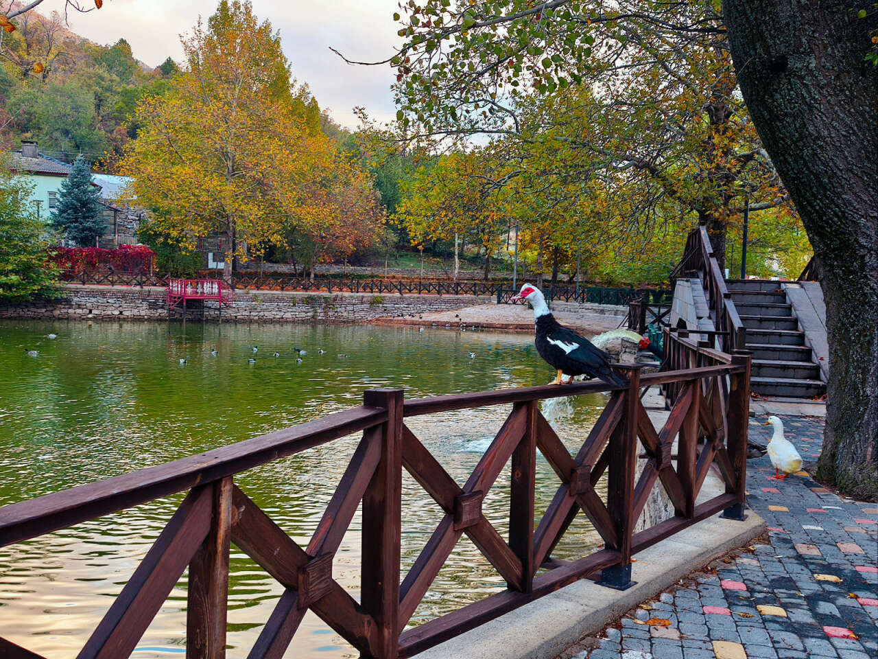 Konya’nın cennet köşesi sonbahar renkleriyle büyülüyor 1